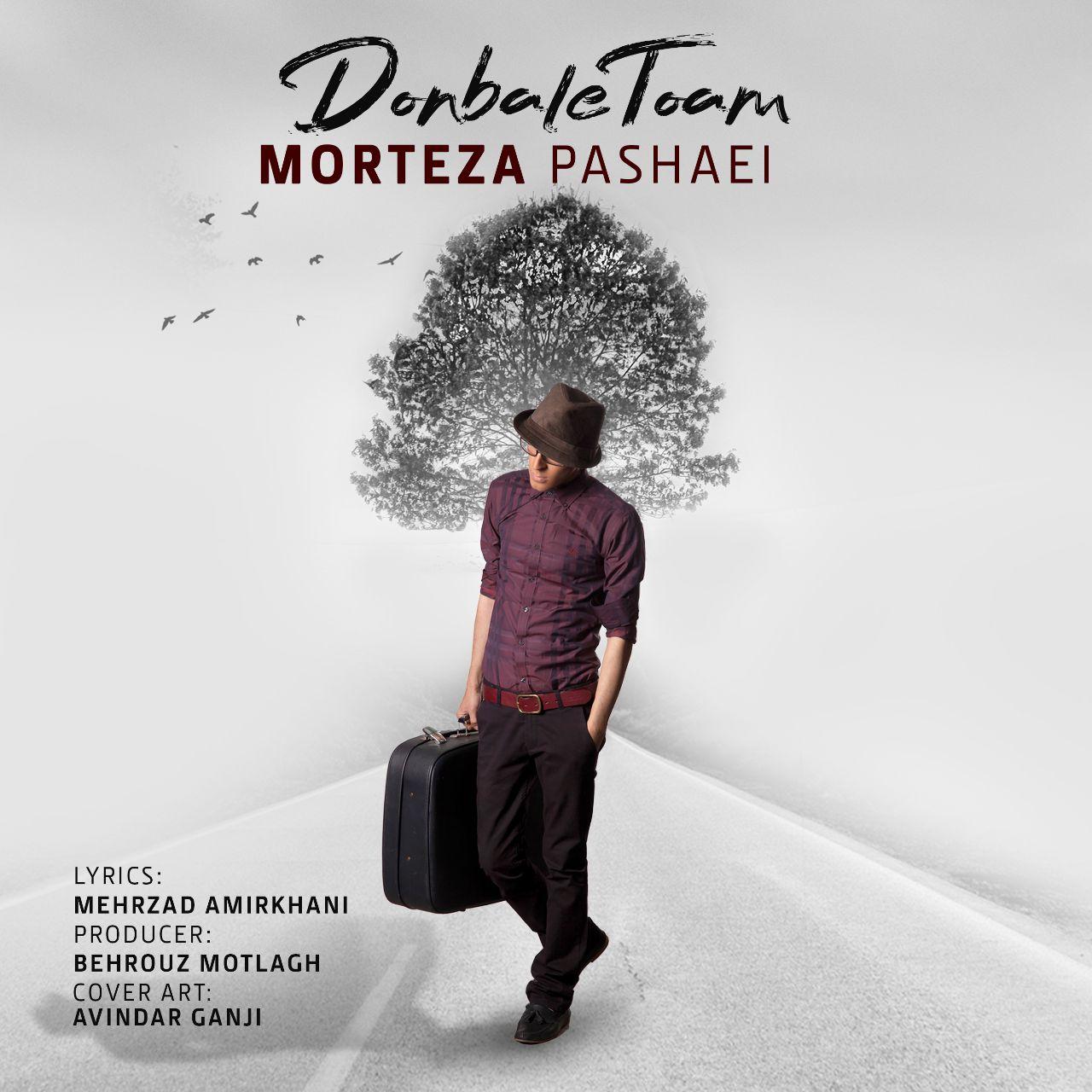 Cover artwork for Donbale Toam by Morteza Pashaei